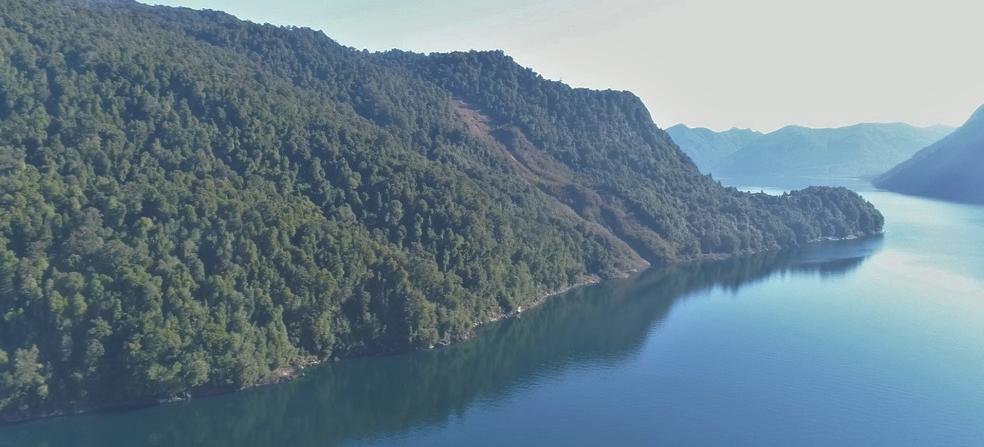 Lago y bosque nativo en el sur de Chile