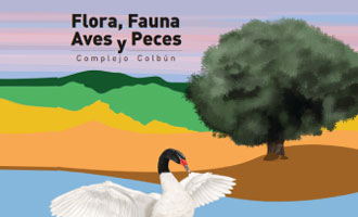 Flora, Fauna, aves