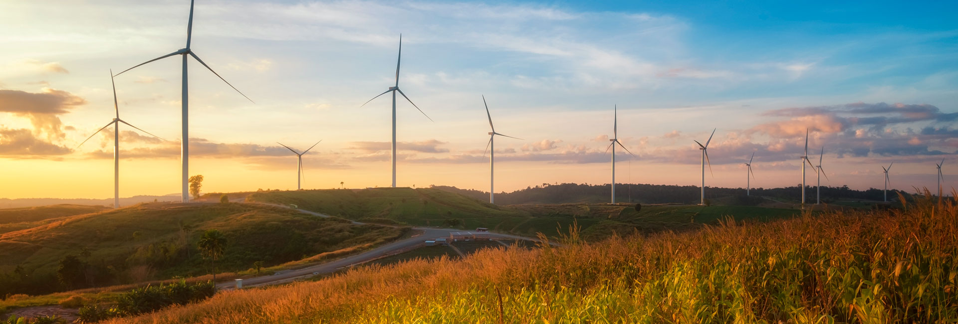 Junquillos Wind Farm Project